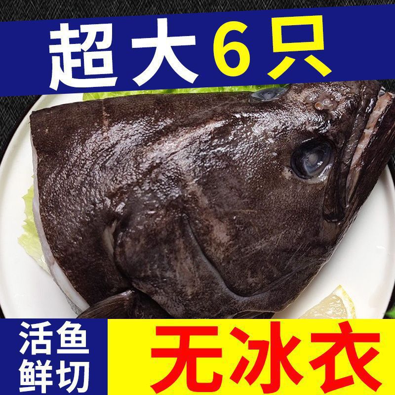 新鲜鲽鱼头深海鱼比目鱼鸦片鱼头特大号海鲜水产冷冻厂家厂家直销