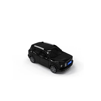 Car key bag – for Haver Big Dog Key