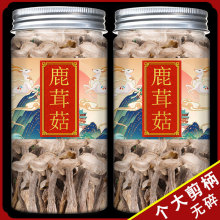 ¹׹؛ٷŞꃞ|Ʒl10ĢrҰһ