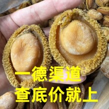 �S�����l��ζ��؛����6-10�^�Ϸ��U�~�Ƶꌣ��500g