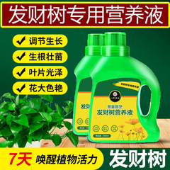 發財樹專用濃縮營養液植物花卉通用花肥土培水培液體批發代發