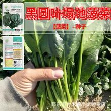 ſز˷NӺڈ@~˷NLٶȿͺ߮aԽ߲˷NӴȫ