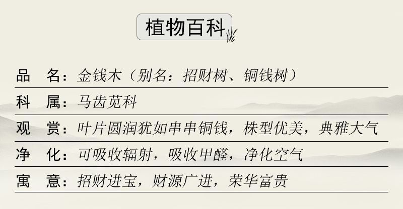 d2b49cbb-3d47-4435-98ce-0f70760c9785.jpe