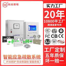集中电源集中控制型消防应急照明灯指示灯安全出口疏散牌A型36V