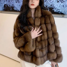 2025ŮƤ¿ºëƤppë