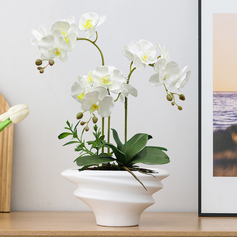 白い胡蝶蘭植木鉢、軽い高級感と高級感のある家庭用セラミック組み立て植木鉢、高級蘭専用植木鉢、送料無料|undefined