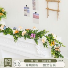����������ȼ����~�����r���ٗl�����Gɫ����~�����҃��b����l