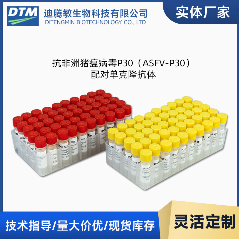 抗非洲猪瘟病毒P30配对单克隆抗体迪腾敏生物p30（ASFV-p30