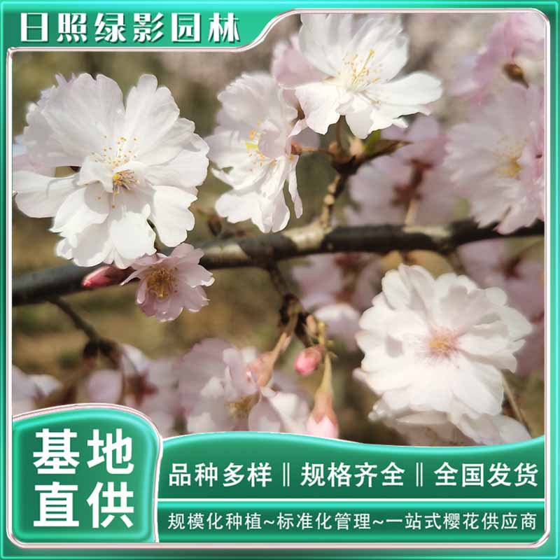 微信图片_20230818145048 副本.jpg