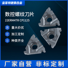 �����ݼy��Ƭ-22ERM4TR-CP1125܇�����^�ӹ����P����ݼy���͵�Ƭ