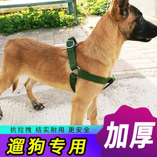 ���������K�������๷�K�ӽ�ë�����ر��������д���Ȯ�RȮ��Ʒ