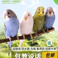 �W�^���B������B����С�B녰��W�^��С�͕��fԒ���B��Ƥ�W�^����