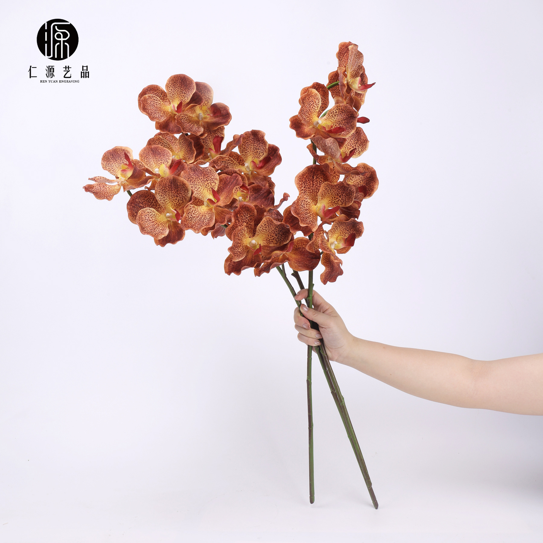 Fábrica directa de 7 orquídeas mariposa orquídeas