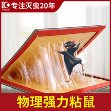 ����ճ��及��������N����ץ����Aճ���zմ����ô�С���l���x