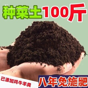 ��ͥ�N�ˠI�B���̨�������ЙC�B�����߲˷Nֲ�����������