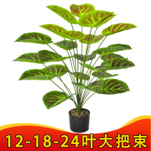 �羳��������Gֲ1824�^���G�q�٘��҃ȿ͏d�@�־��^�b��辰����