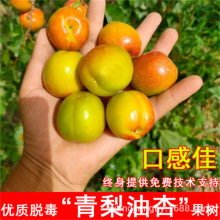 FӘ̫ꖹ箔YϱNֲ޽tStp