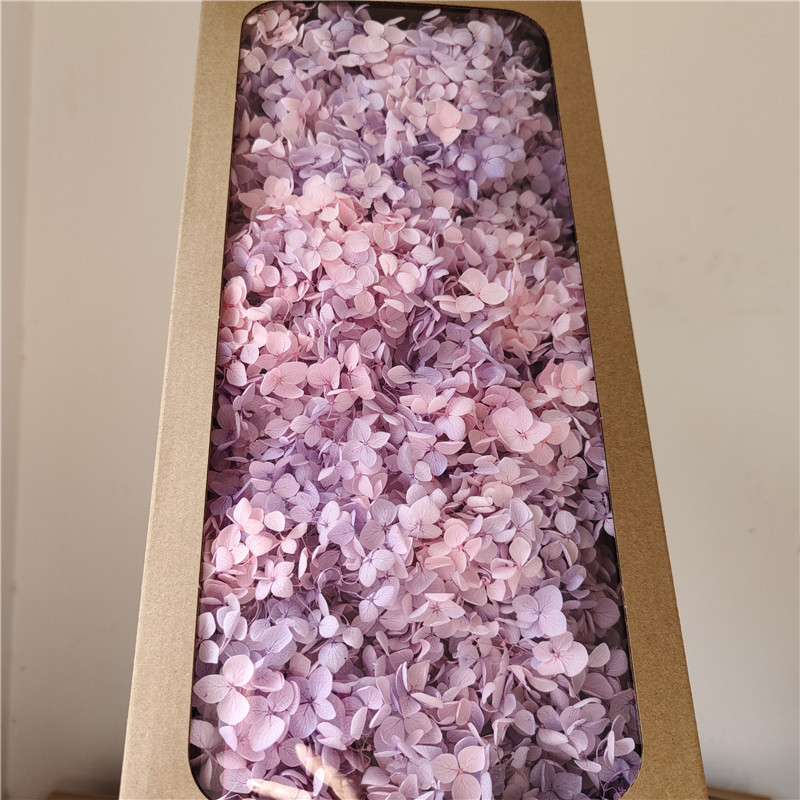 Flor eterna Hortensia Anna pequeña hoja flor seca flor real árbol de Navidad ventilador hecho a mano ramo DIY material paquete flor