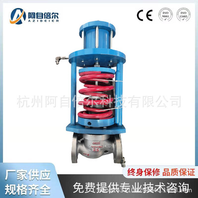 Self reliant Regulating valve Constant pressure valve Oxygen valve Natural gas Back pressure valve Gas Regulator