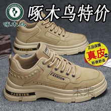 G��ľ�B��a��Ƥ��Ь2025�����¿�ٴ�bЬ�\�ӷ�����ĥ���eЬ