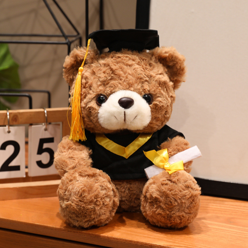 Graduación Teddy Bear Puppy Doctor Teddy Bear School Print logotipo regalo de graduación