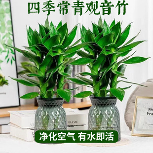 ��һ�l�����փ�������ˮ��ˮ�B���˾Gֲ�҃ȃ����՚�2��8�հl��