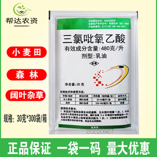 48%������������ ����ľ��ľ��������С������~���s���݄�30��