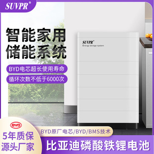 高压智能家用磷酸铁锂电池光伏储能系统比亚迪BYD刀片电芯锂电池-阿里巴巴