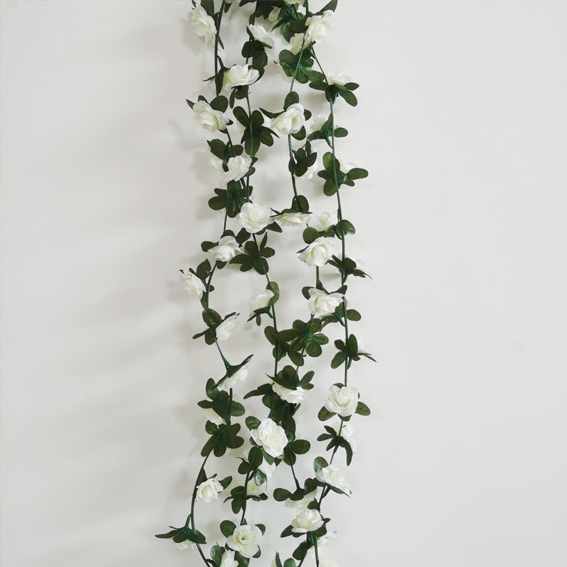 微信图片_20220408132351_副本