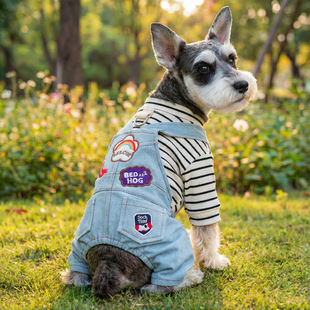 PETCIRCLE����Ȧ��Ʒ�������С�͹���؈�����·��ʺ��a������ѝ
