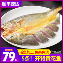 黄鱼鲞新鲜冷冻大黄鱼黄花鱼三去生鲜宁德小黄鱼海鲜鱼类海鱼商用