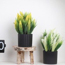 �Ӽ��b�޹�²ݷ��滨���Ԕ[��ins�L�͏d�����͏d����Gֲ�b�Ʒ