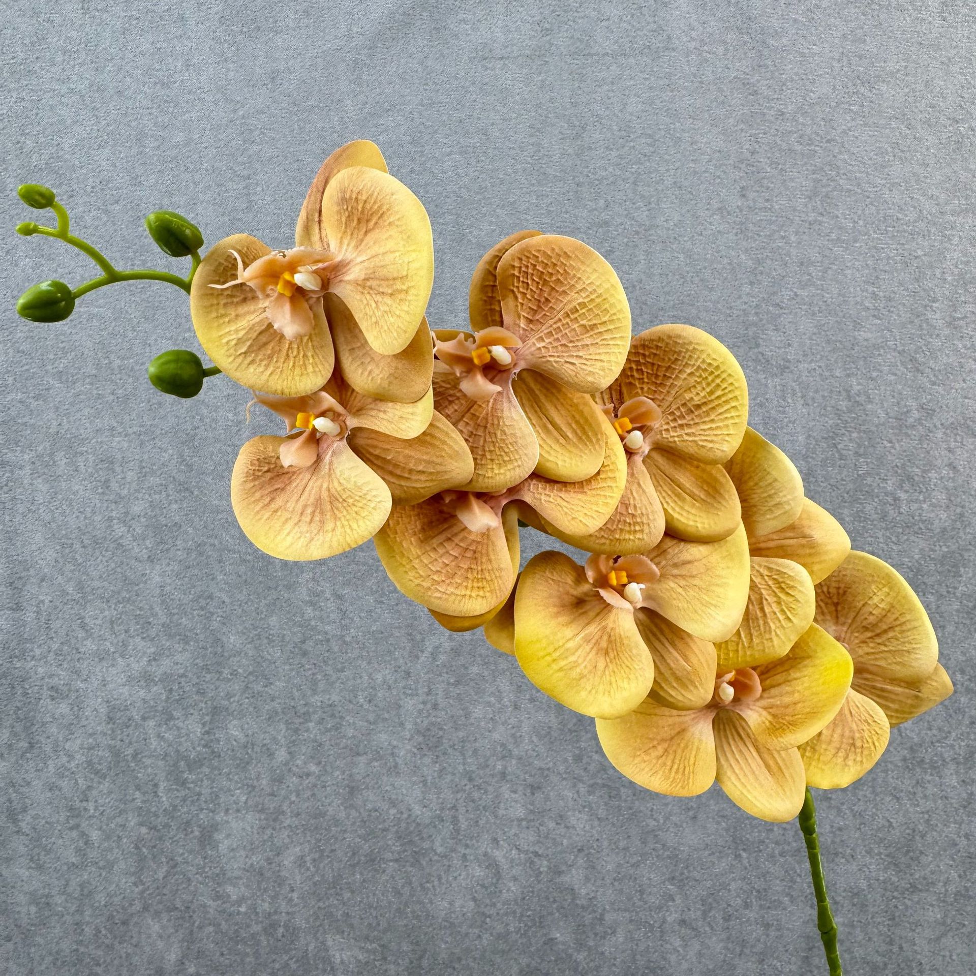 Meson yellow