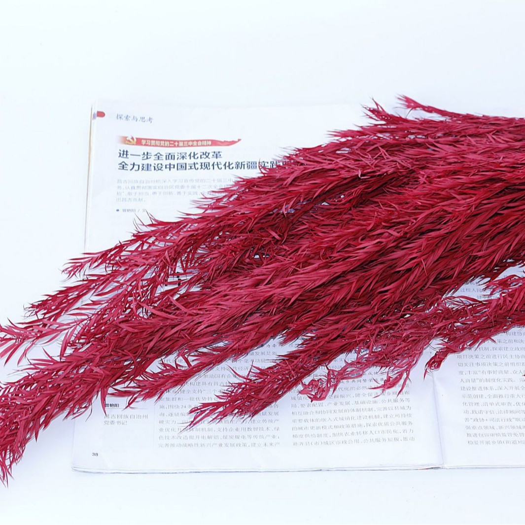Rojo vino