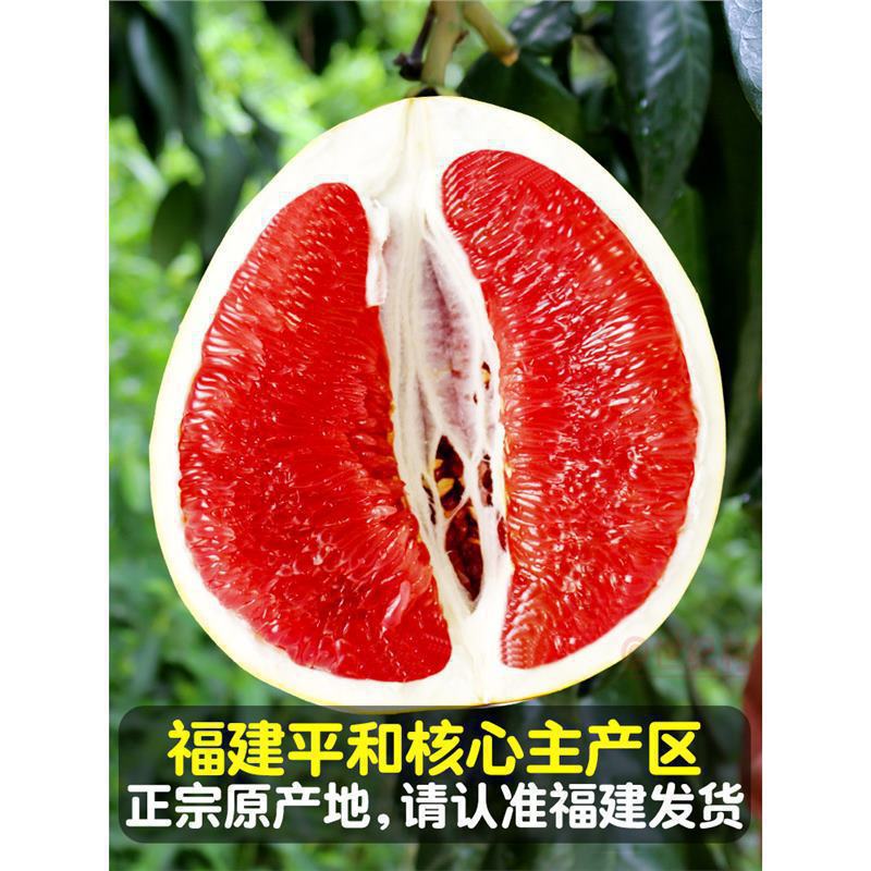 2.5kg _ 저렴한 크기의 과일(단일 과일 무게 0.75-1.0kg), 작은 과일!