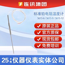Fluke福禄克5615-6/-9短支二等标准铂电阻温度计5615-12-D测温计