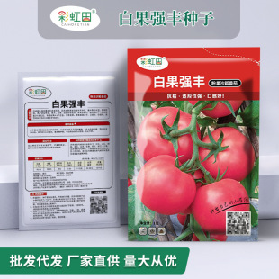 �����۷��ѷN�Ӵ������t���N�����ļ�������������֧��һ�����l