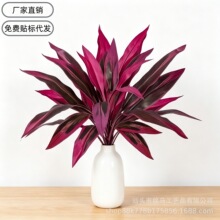 ��ʽ�羳���R�d�ָ���Ѫ�����ľ�~�B��ާ��콶�G�����~�쾰�b�