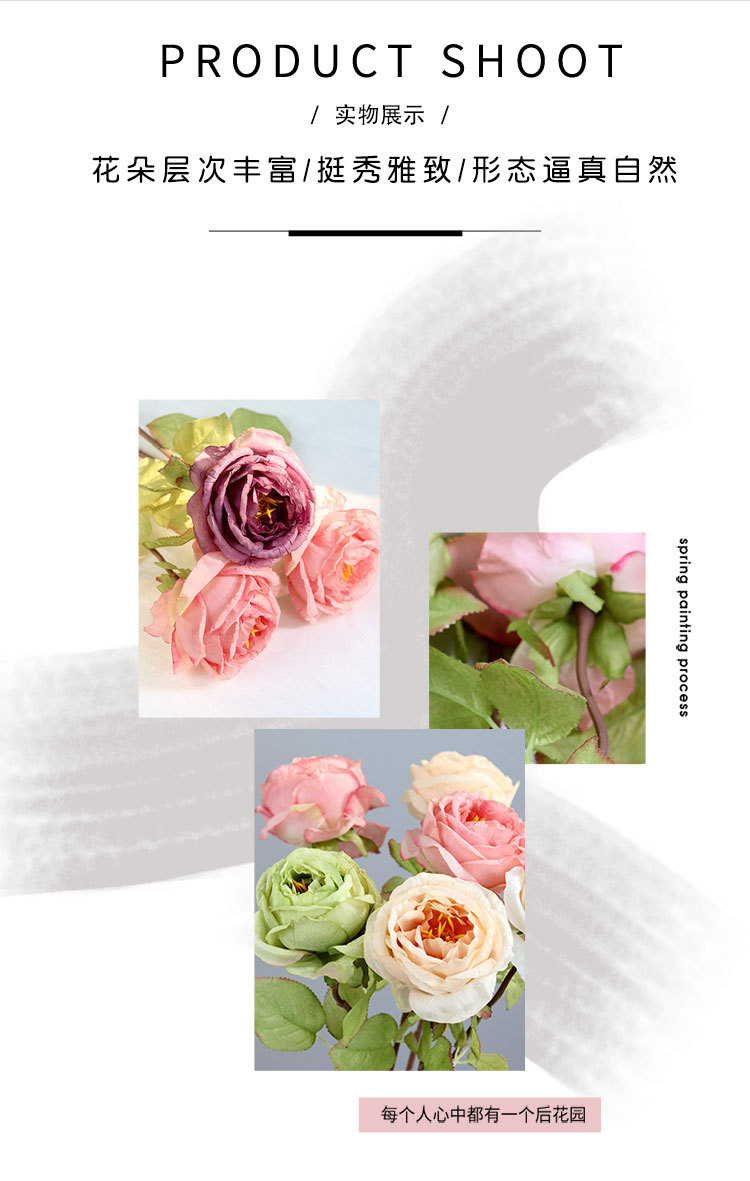焦边玫瑰-拷贝_04.jpg