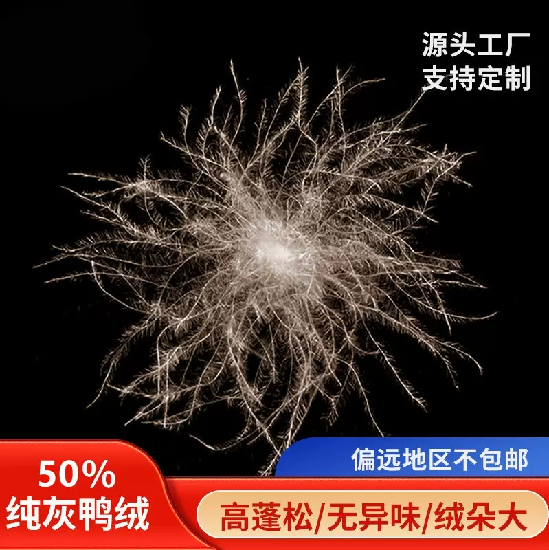 定制羽绒工厂50灰鸭绒新国标水洗大朵50灰鸭绒高蓬松羽绒羽毛批发