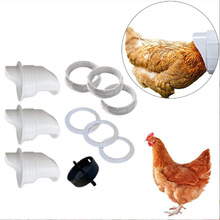 Chicken Feeder ιιʳ ι DIYԶι