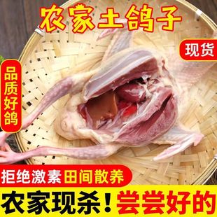 �����r��ɢ�B����ʳ���������r�חl�����ЋDС���Ҝ�ʳ�������חl