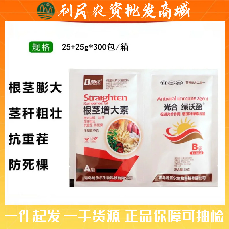 根茎膨大 粗跟壮苗膨大根茎 生姜大蒜葱土豆地瓜山药香芋红薯洋芋