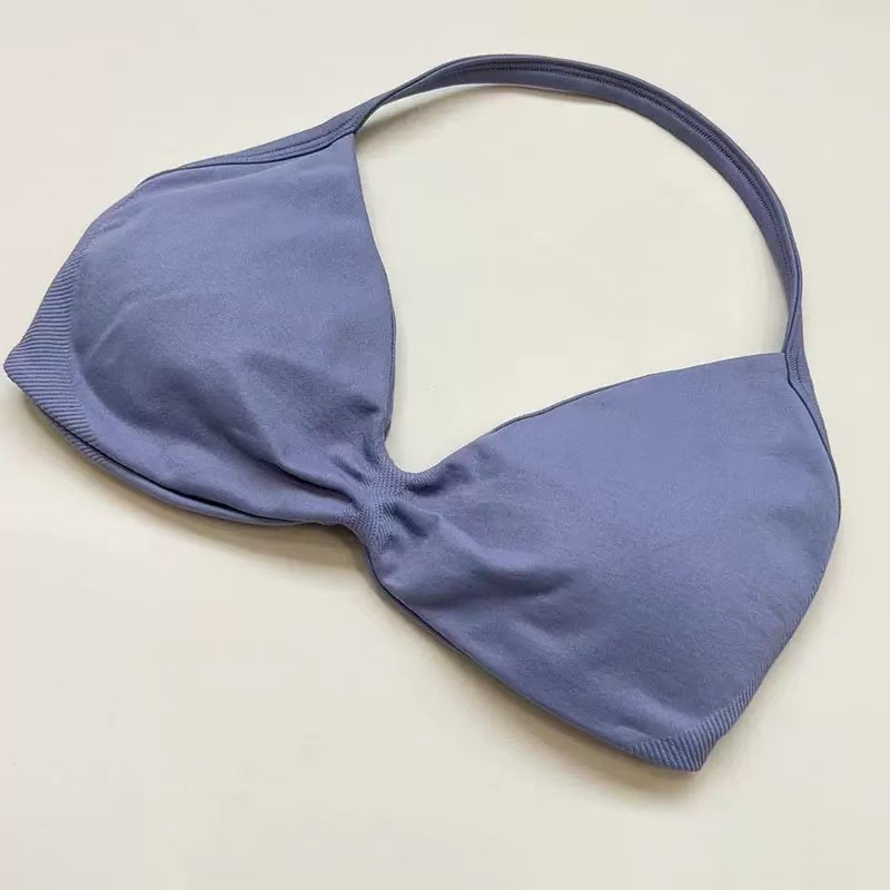 Bra deportivo de cuello colgante transfronterizo Europa y América nuevo entrenamiento físico ropa interior rápida secado yoga pequeño sujetador