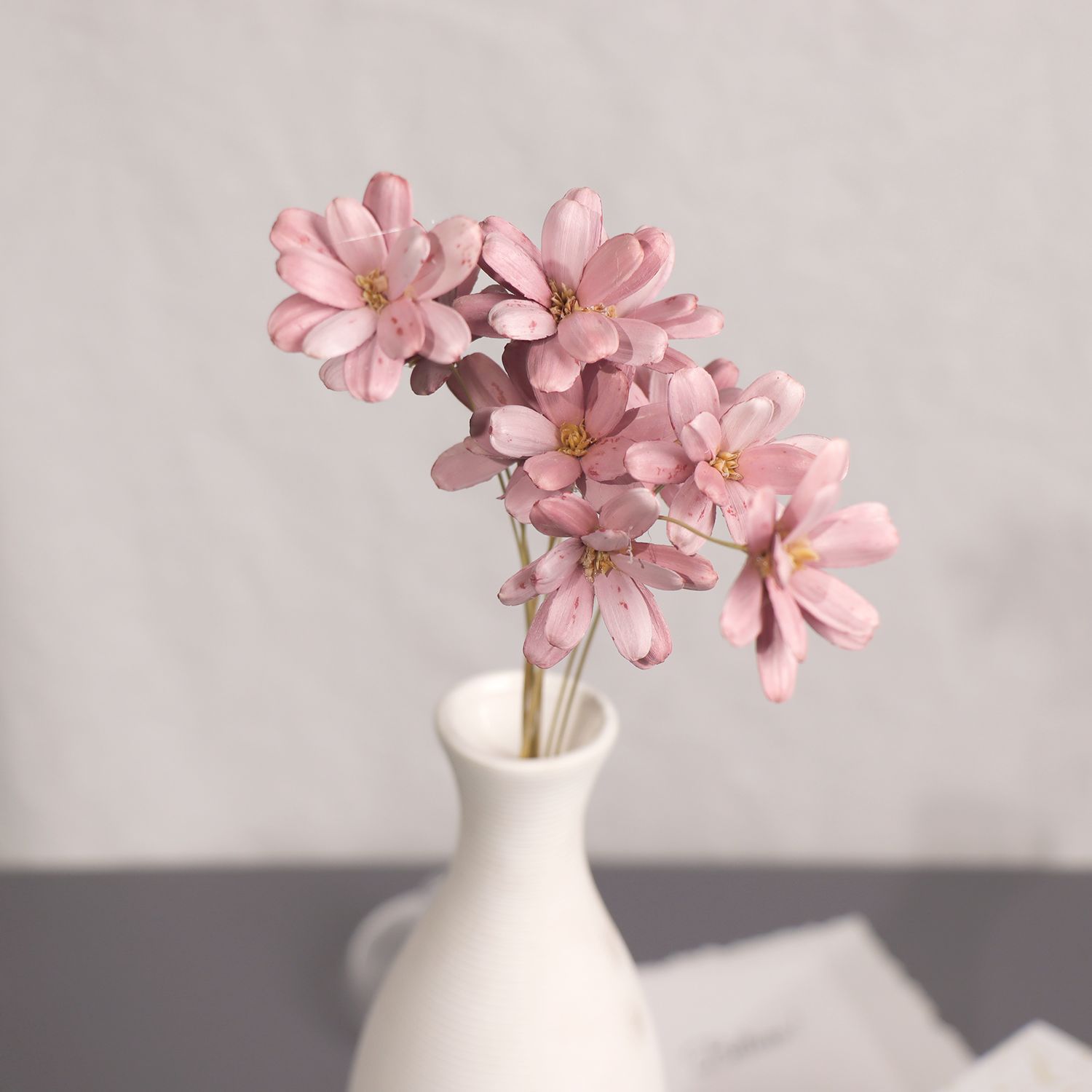 Semillas de melón hechas a mano pequeñas flores secas semillas de melón cáscara colorida flores inmortales fábrica Yunnan al por mayor Día de la Madre 520