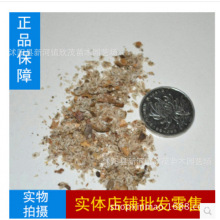 林木种批发正宗泡桐种子毛泡桐树种子大果泡桐空桐木水桐桐木树