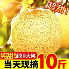 ɽ�����h����Xɽ�����r����10��ˮ���摪���Fժ���䜫ɽ������]