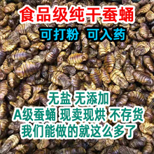 纯干蚕蛹食品级干蚕蛹500克小蜂儿原味烘干蚕蛹可打粉干桑蚕蛹粉