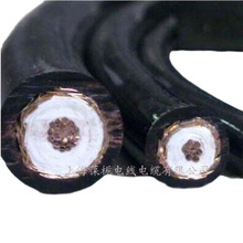 SUJ-50-3-5��ܛ�͓p�����l��|��������