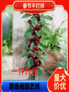 ����������Ҙ��� ��6�޽Ӱ������������� �̻����������